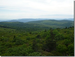 P1010238