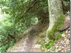Cool tunnel
